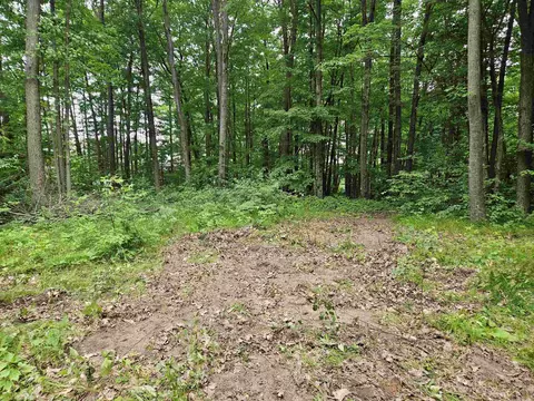 524 Coleman, Harrison, MI 48625 photo 12