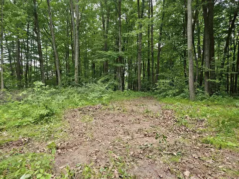 524 Coleman, Harrison, MI 48625 photo 9