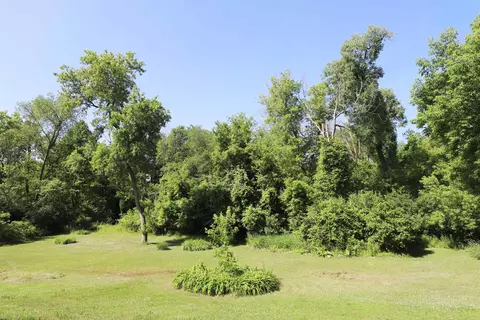 8141 N Elms, Flushing, MI 48433 photo 36