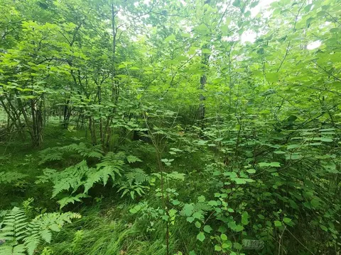 1 W Acre W Monroe, Harrison, MI 48625 photo 7