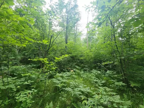 1 W Acre W Monroe, Harrison, MI 48625 photo 6