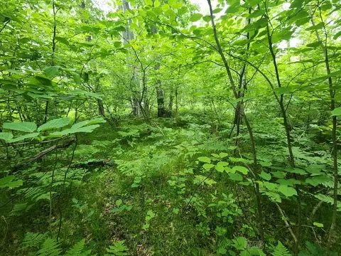 1 W Acre W Monroe, Harrison, MI 48625 photo 14