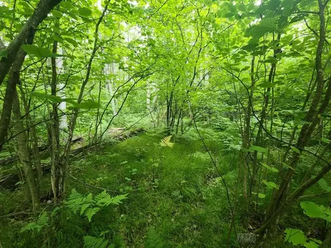 1 W Acre W Monroe, Harrison, MI 48625 photo 2