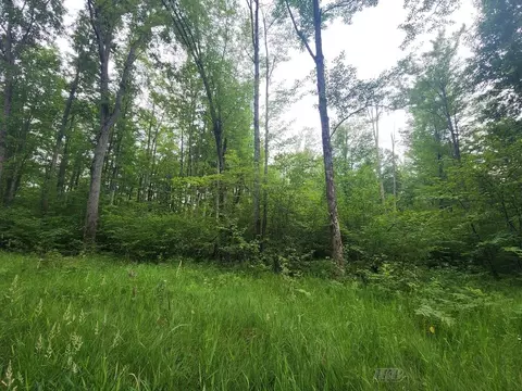 1 W Acre W Monroe, Harrison, MI 48625 photo 18