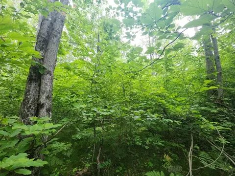 1 W Acre W Monroe, Harrison, MI 48625