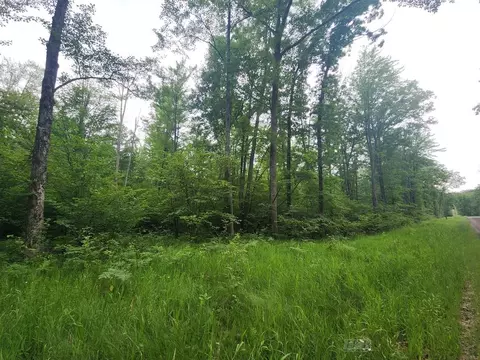 1 W Acre W Monroe, Harrison, MI 48625 photo 19