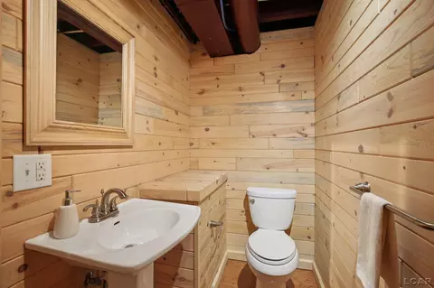 6235 Pocklington, Britton, MI 49229 photo 45