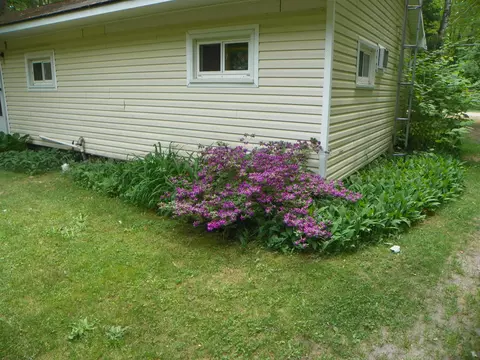 Exterior - 2803 Dell, Harrison, MI 48625 photo 7 of 21
