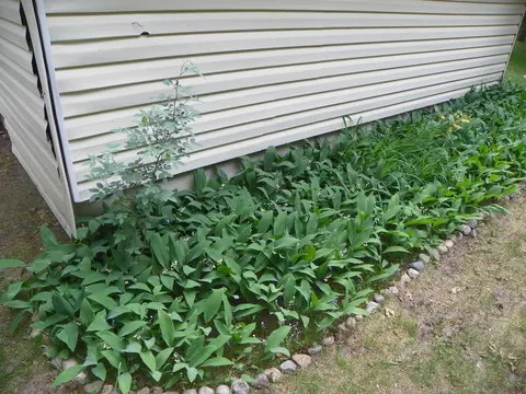 Exterior - 2803 Dell, Harrison, MI 48625 photo 14 of 21