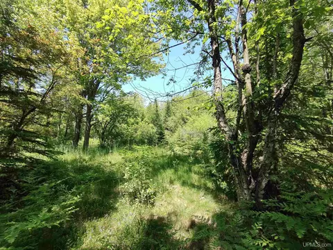 8930 Sand Lk, Au Train, MI 49806
