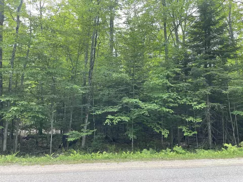 Parcel "a" W Smith Lake, Manistique, MI 49854