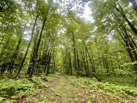 120 Acres N Fordville Rd, Hardwood, MI 49880
