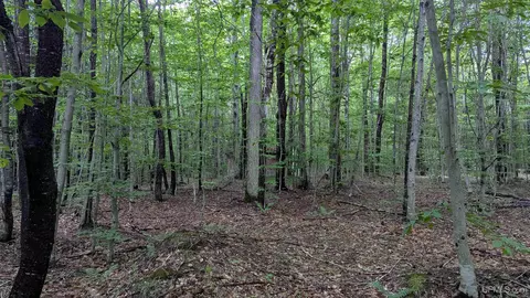 tbd Stella Lake Rd, Wetmore, MI 49895