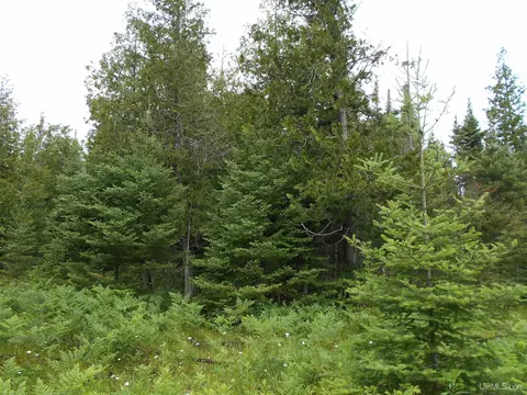 tbd Us-2, Gould City, MI 49838