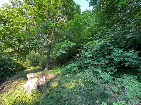Exterior - 200 Empire, Ishpeming, MI 49849 photo 6 of 7
