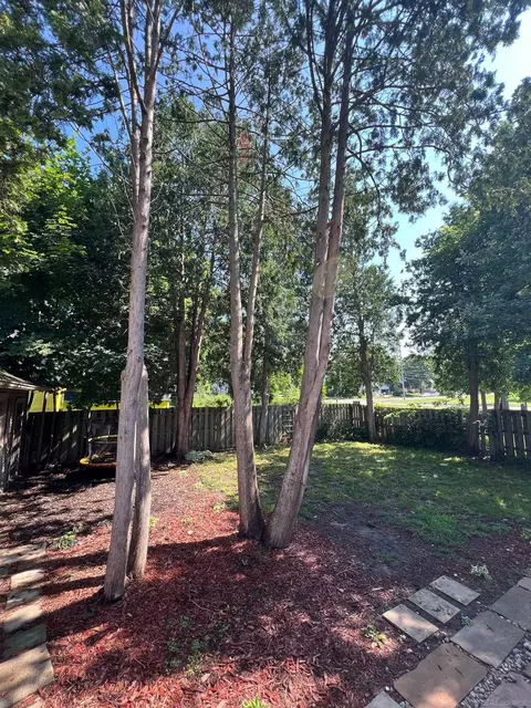 415 E Cass, Albion, MI 49224 photo 43