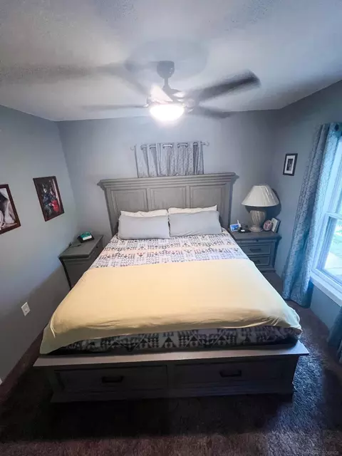 415 E Cass, Albion, MI 49224 photo 27