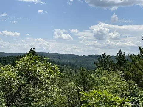 On Bushy Cr Truck Trail, Marquette, MI 49855