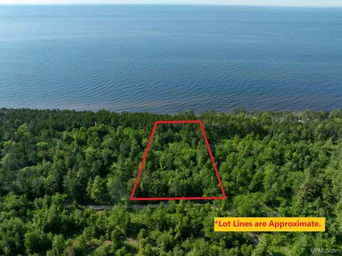 2 54-acre Govt Lot 3 Parcel In Sec 17, Newberry, MI 49868