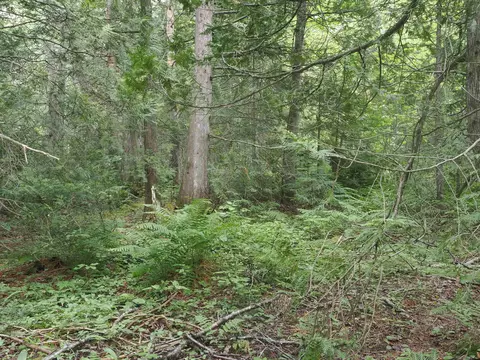 1 Curleys, Eckerman, MI 49728 photo 15