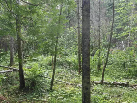 1 Curleys, Eckerman, MI 49728 photo 17