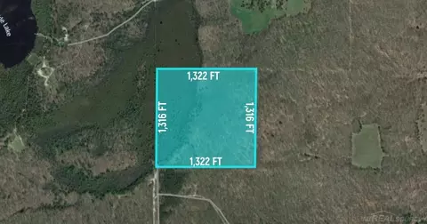 0 SW Good, Fife Lake, MI 49633