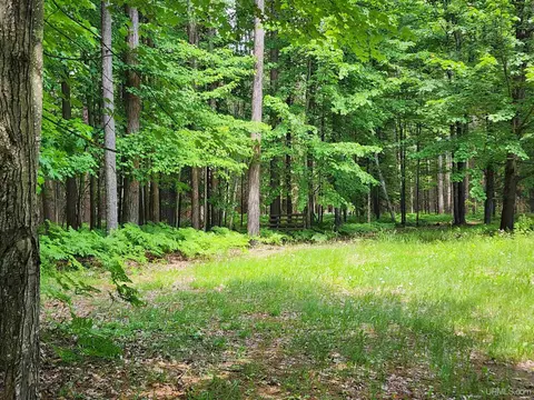 Exterior - 8982 Us 2, Rapid River, MI 49878 photo 9 of 11
