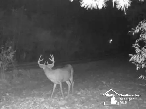 Other - 621 Baldwin, Monroe, MI 48162 photo 14 of 16