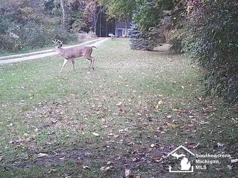 Other - 621 Baldwin, Monroe, MI 48162 photo 15 of 16