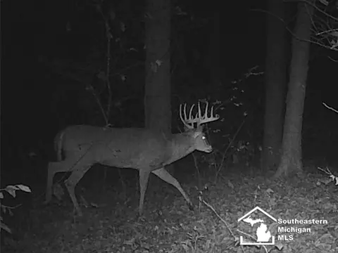 Other - 621 Baldwin, Monroe, MI 48162 photo 11 of 16