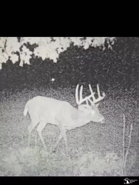 Other - 621 Baldwin, Monroe, MI 48162 photo 13 of 16