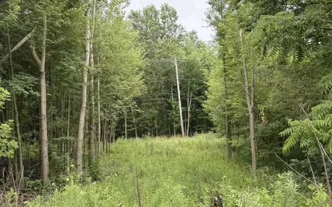 Other - 9400 N Adrian, Tecumseh, MI 49286 photo 3 of 3