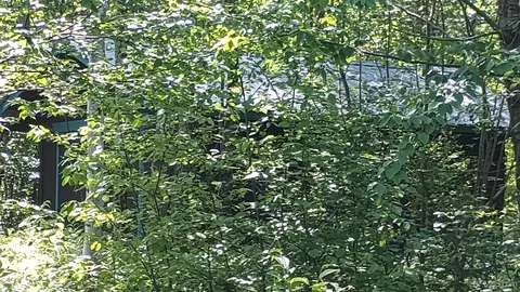25702 M-64, Ontonagon, MI 49953
