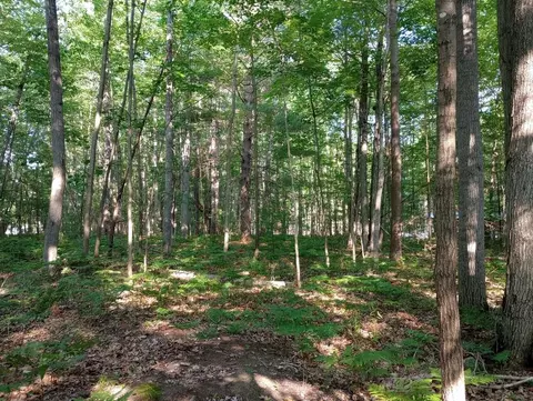 Vl Lockwood, Gladwin, MI 48624 photo 6
