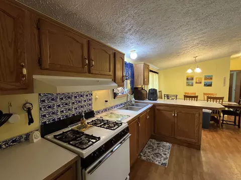1343 SE County Line, Shepherd, MI 48883 photo 16