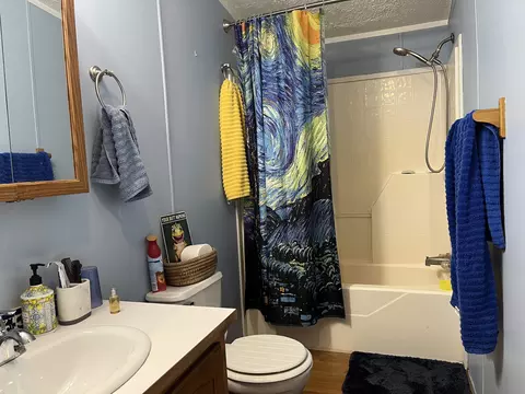 1343 SE County Line, Shepherd, MI 48883 photo 9