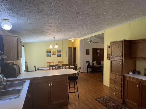 1343 SE County Line, Shepherd, MI 48883 photo 17