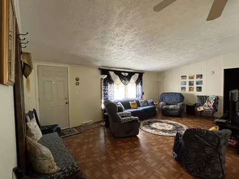 1343 SE County Line, Shepherd, MI 48883 photo 5