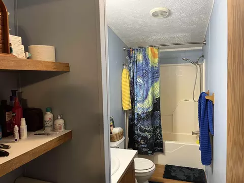 1343 SE County Line, Shepherd, MI 48883 photo 8