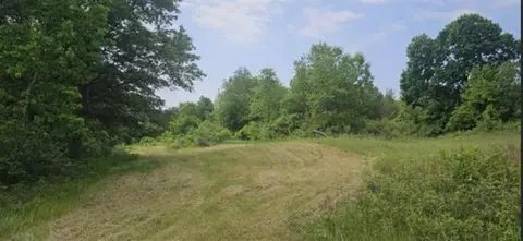 11206 Nolan, Gladwin, MI 48624 photo 41