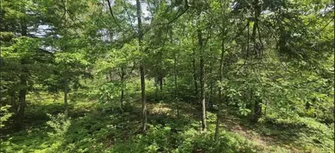 11206 Nolan, Gladwin, MI 48624 photo 3