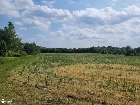 0 Olds, Otisville, MI 48463