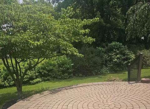 Exterior - 51810 Walnut, Macomb, MI 48042 photo 9 of 10