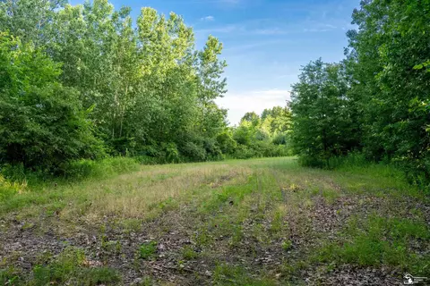 Parcel E Timbers, Carleton, MI 48117 photo 8