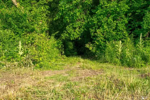 Parcel E Timbers, Carleton, MI 48117 photo 18