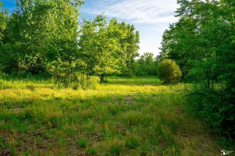 Parcel E Timbers, Carleton, MI 48117 photo 19