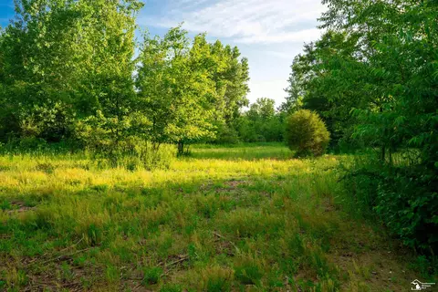Parcel E Timbers, Carleton, MI 48117 photo 5