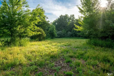 Parcel E Timbers, Carleton, MI 48117 photo 16