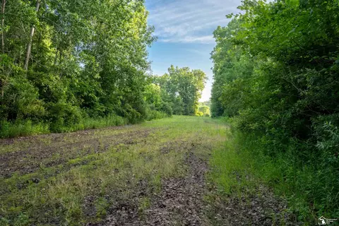 Parcel E Timbers, Carleton, MI 48117 photo 10