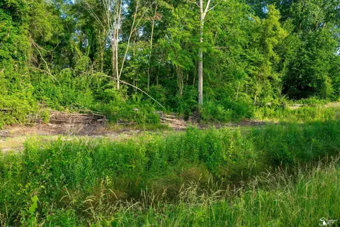 Parcel E Timbers, Carleton, MI 48117 photo 20